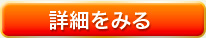 詳細をみる